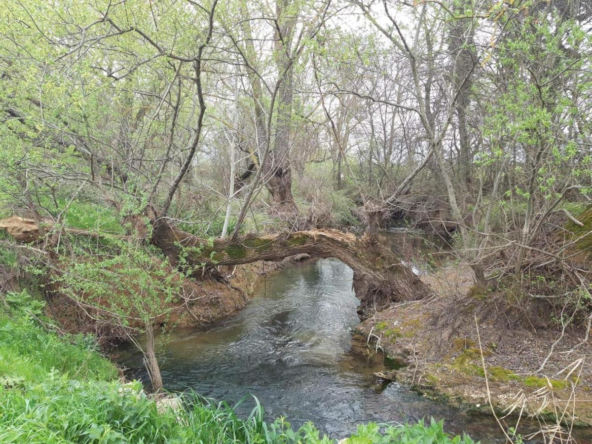 Georgia'S Village House Kondostavlos Luaran gambar