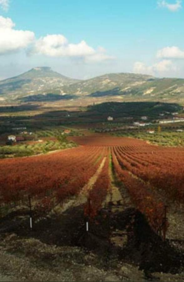 Georgia'S Village House Kondostavlos Luaran gambar